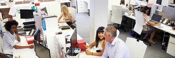 Seguros Colectivos para Empleados - Oficina con empleados trabajando frente a sus portatiles y ordenadores Seguros Colectivos para Empleados - Oficina con empleados trabajando frente a sus portatiles y ordenadores