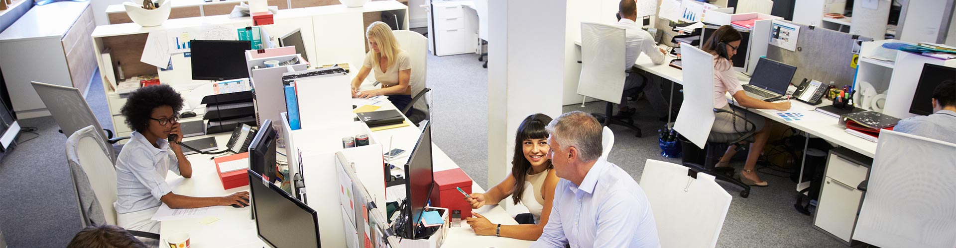 Seguros Colectivos para Empleados - Oficina con empleados trabajando frente a sus portatiles y ordenadores Seguros Colectivos para Empleados - Oficina con empleados trabajando frente a sus portatiles y ordenadores