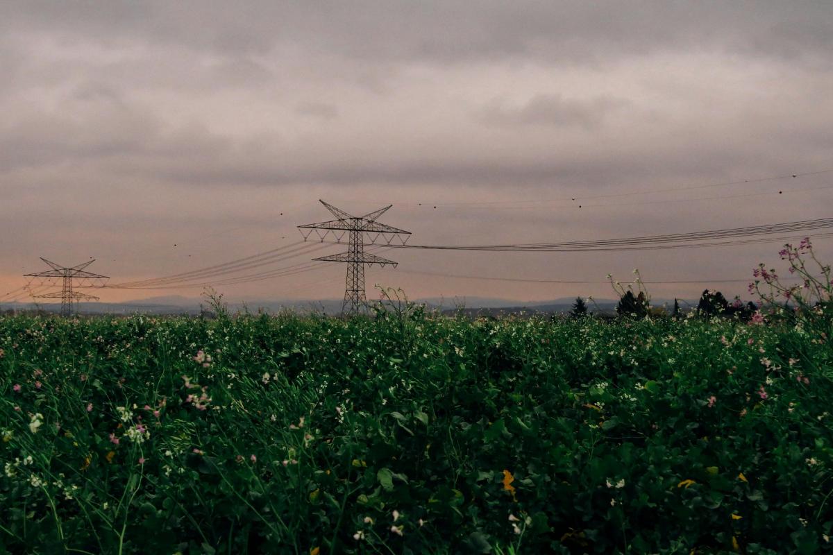 FIELDS una plataforma para capacitar a profesionales agrícolas.