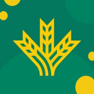 logotipo caja rural espiga logotipo caja rural espiga