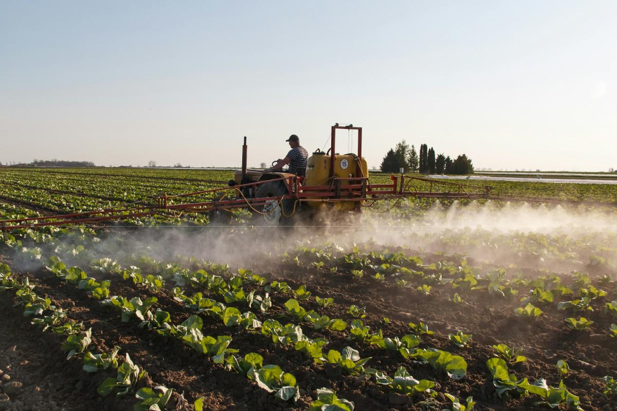 Relevo generacional en el campo