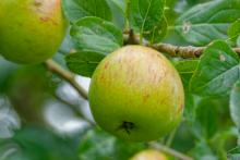 Ley Antifraude 2026:  cómo adaptar tu facturación sin complicarte la vida